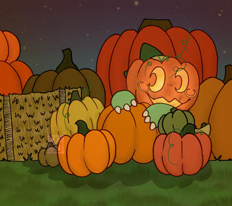 A lil' fella in a pumpkin patch! 🎃